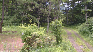 長野県菅平高原 ゆたか山荘 坂上 2026/07/09 10:15