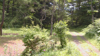 長野県菅平高原 ゆたか山荘 坂上 2026/07/09 10:30