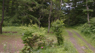 長野県菅平高原 ゆたか山荘 坂上 2026/07/09 11:00