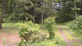 長野県菅平高原 ゆたか山荘 坂上 2026/07/09 11:30