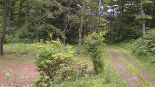 長野県菅平高原 ゆたか山荘 坂上 2026/07/09 11:45
