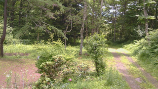 長野県菅平高原 ゆたか山荘 坂上 2026/07/09 12:00