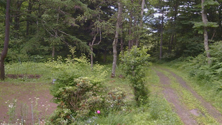 長野県菅平高原 ゆたか山荘 坂上 2026/07/09 12:15
