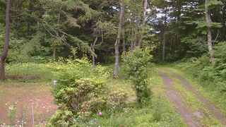 長野県菅平高原 ゆたか山荘 坂上 2026/07/09 12:45