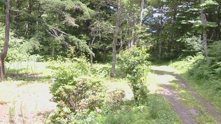 長野県菅平高原 ゆたか山荘 坂上 2026/07/09 13:00