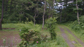 長野県菅平高原 ゆたか山荘 坂上 2026/07/09 14:15