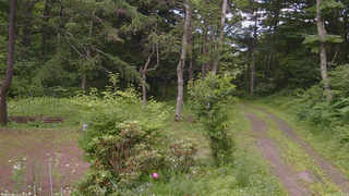 長野県菅平高原 ゆたか山荘 坂上 2026/07/09 14:30