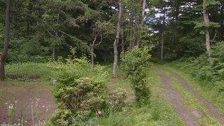 長野県菅平高原 ゆたか山荘 坂上 2026/07/09 14:45