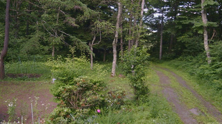 長野県菅平高原 ゆたか山荘 坂上 2026/07/09 15:00