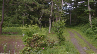 長野県菅平高原 ゆたか山荘 坂上 2026/07/09 15:15