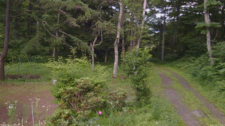 長野県菅平高原 ゆたか山荘 坂上 2026/07/09 15:30
