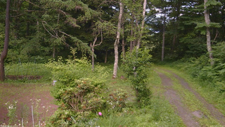 長野県菅平高原 ゆたか山荘 坂上 2026/07/09 15:45