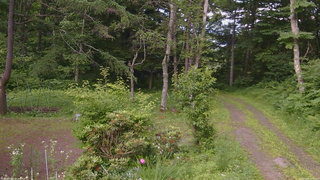 長野県菅平高原 ゆたか山荘 坂上 2026/07/09 16:00