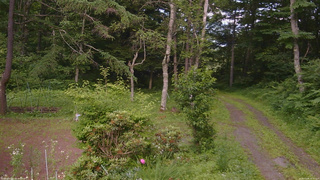 長野県菅平高原 ゆたか山荘 坂上 2026/07/09 16:15