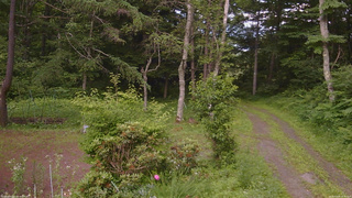 長野県菅平高原 ゆたか山荘 坂上 2026/07/09 16:30