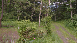 長野県菅平高原 ゆたか山荘 坂上 2026/07/09 16:45