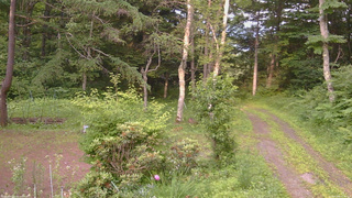 長野県菅平高原 ゆたか山荘 坂上 2026/07/09 17:30