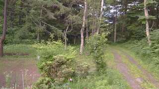 長野県菅平高原 ゆたか山荘 坂上 2026/07/09 18:00
