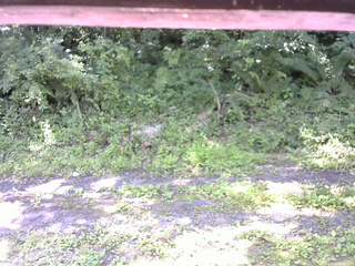 長野県菅平高原 ゆたか山荘 東側(坂下) 2026/07/10 09:45