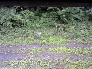 長野県菅平高原 ゆたか山荘 東側(坂下) 2026/07/10 16:45
