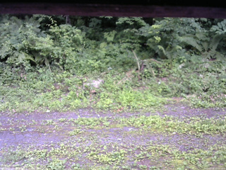 長野県菅平高原 ゆたか山荘 東側(坂下) 2026/07/10 17:15