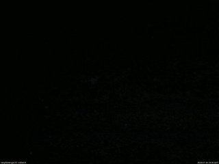 長野県菅平高原 ゆたか山荘 東側(坂下) 2026/07/10 19:30
