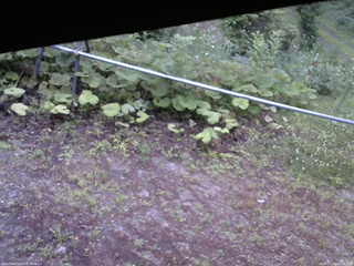 長野県菅平高原 ゆたか山荘 駐車場 2026/07/10 05:00