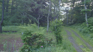 長野県菅平高原 ゆたか山荘 坂上 2026/07/10 05:00