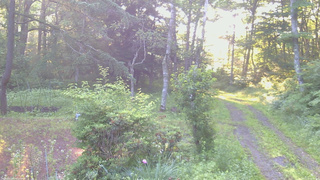 長野県菅平高原 ゆたか山荘 坂上 2026/07/10 05:45