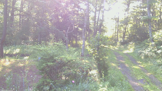 長野県菅平高原 ゆたか山荘 坂上 2026/07/10 06:30