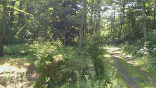長野県菅平高原 ゆたか山荘 坂上 2026/07/10 08:00