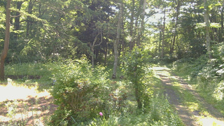 長野県菅平高原 ゆたか山荘 坂上 2026/07/10 08:15