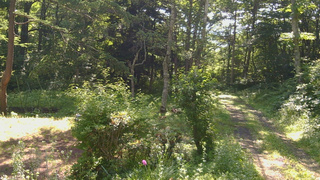 長野県菅平高原 ゆたか山荘 坂上 2026/07/10 08:30