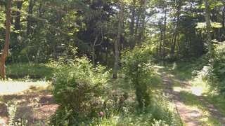 長野県菅平高原 ゆたか山荘 坂上 2026/07/10 08:45