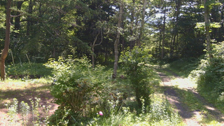 長野県菅平高原 ゆたか山荘 坂上 2026/07/10 09:15