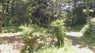 長野県菅平高原 ゆたか山荘 坂上 2026/07/10 09:30