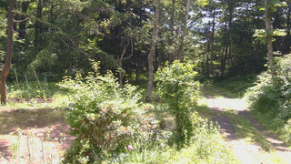長野県菅平高原 ゆたか山荘 坂上 2026/07/10 09:45
