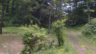 長野県菅平高原 ゆたか山荘 坂上 2026/07/10 10:00