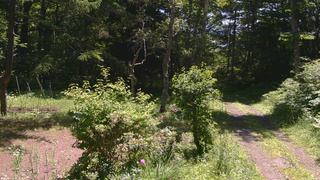 長野県菅平高原 ゆたか山荘 坂上 2026/07/10 10:30