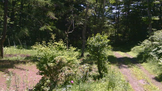 長野県菅平高原 ゆたか山荘 坂上 2026/07/10 10:45