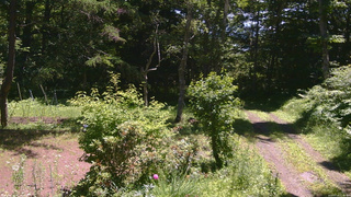 長野県菅平高原 ゆたか山荘 坂上 2026/07/10 11:00