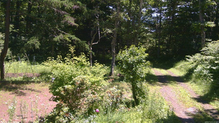 長野県菅平高原 ゆたか山荘 坂上 2026/07/10 11:15