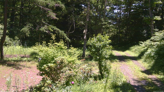 長野県菅平高原 ゆたか山荘 坂上 2026/07/10 11:30