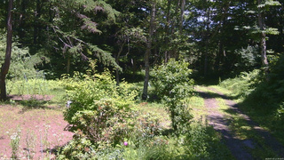 長野県菅平高原 ゆたか山荘 坂上 2026/07/10 12:30