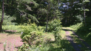 長野県菅平高原 ゆたか山荘 坂上 2026/07/10 12:45