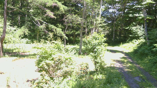 長野県菅平高原 ゆたか山荘 坂上 2026/07/10 13:00