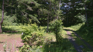長野県菅平高原 ゆたか山荘 坂上 2026/07/10 13:15