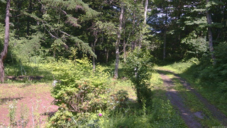 長野県菅平高原 ゆたか山荘 坂上 2026/07/10 13:45
