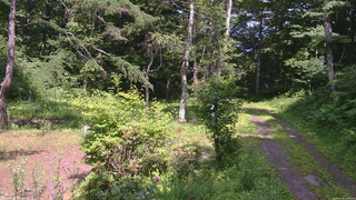 長野県菅平高原 ゆたか山荘 坂上 2026/07/10 14:00