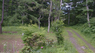 長野県菅平高原 ゆたか山荘 坂上 2026/07/10 14:15
